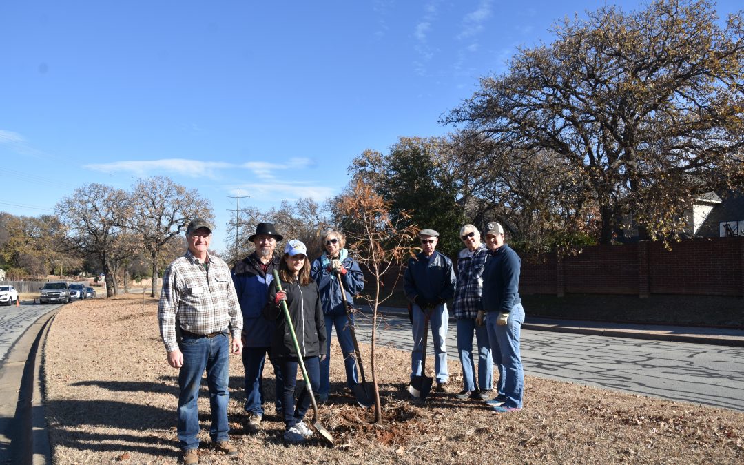 Volunteers for Shorewood tree planting in Arlington, TX