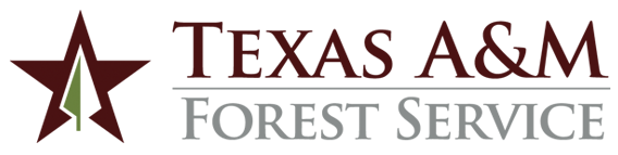 Texas Forest Service Alert – EAB in Tarrant County