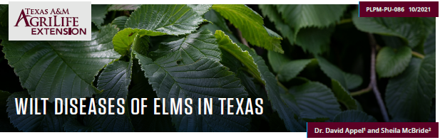 Wilt Diseases of Elms in Texas