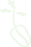 white-logo